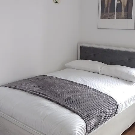 Premium Class Apartment, Free Parking, Maximum 5 Guests, 2 Bedrooms, 3 Beds Apartment *