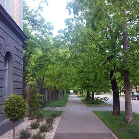 Apartment Premium Class Apartment, Free Parking, Maximum 5 Guests, 2 Bedrooms, 3 Beds *